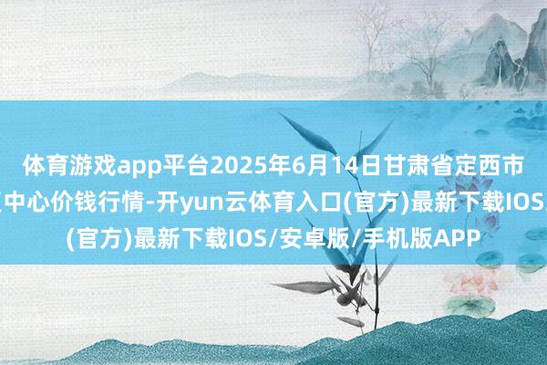 体育游戏app平台2025年6月14日甘肃省定西市糟蹋马铃薯概述往复中心价钱行情-开yun云体育入口(官方)最新下载IOS/安卓版/手机版APP