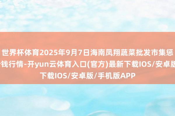 世界杯体育2025年9月7日海南凤翔蔬菜批发市集惩办有限公司价钱行情-开yun云体育入口(官方)最新下载IOS/安卓版/手机版APP